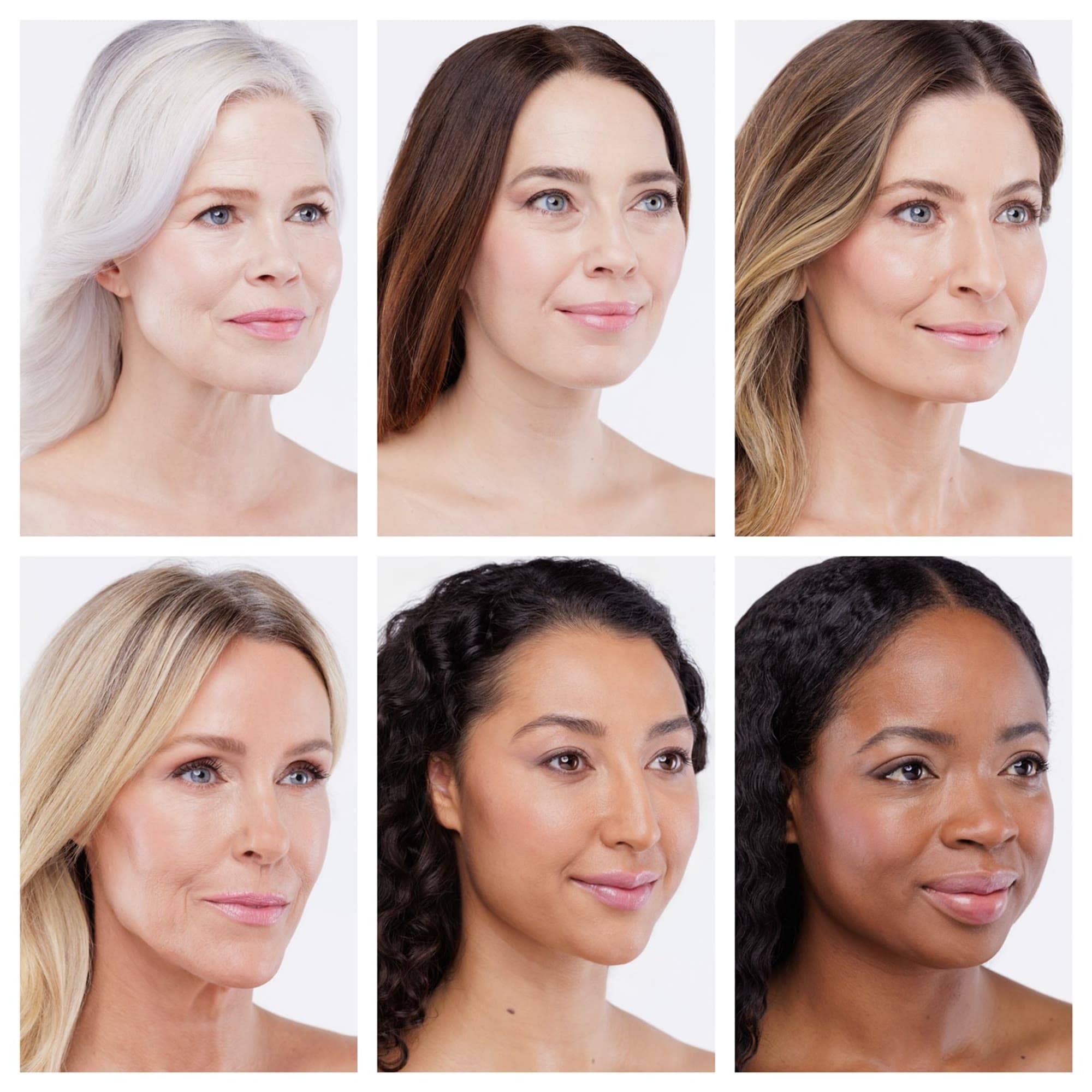Shade Range Detail #1